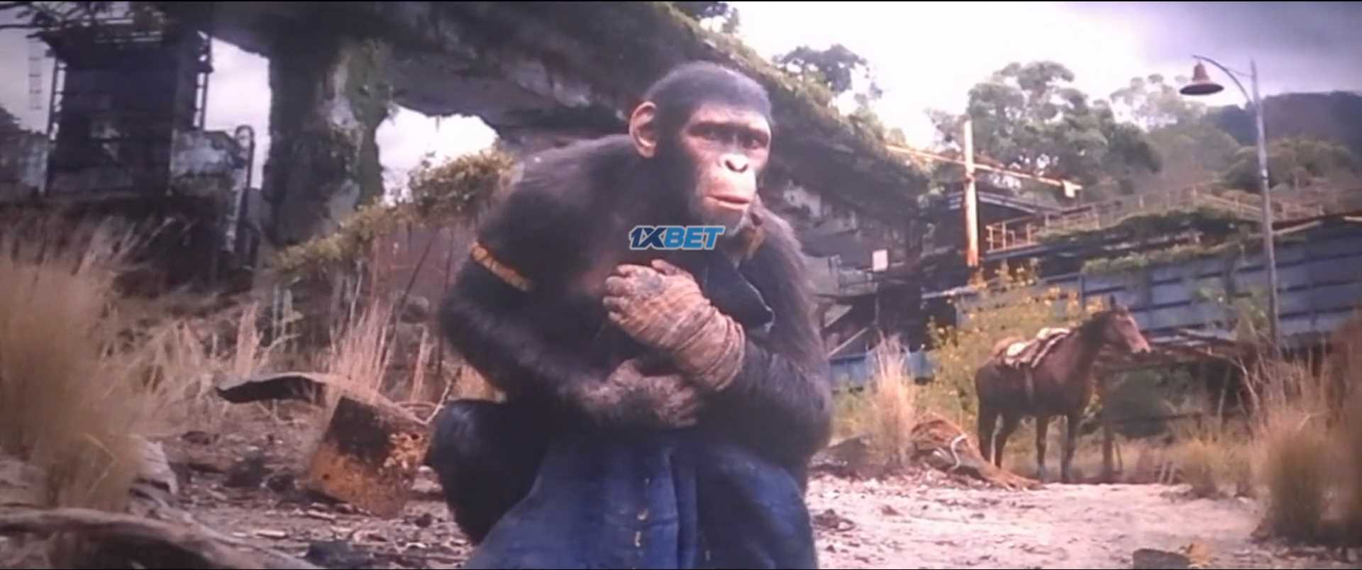 Kingdom of the Planet of the Apes 2024 Telugu CAMRip 1080p Screenshot