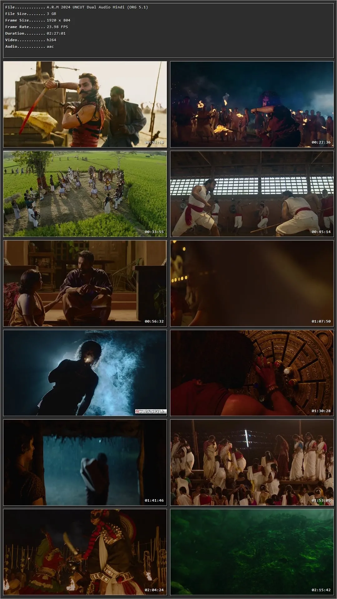 A.R.M 2024 Hindi (Org) Dual Audio HDRip 1080p – 720p – 480p Screenshot