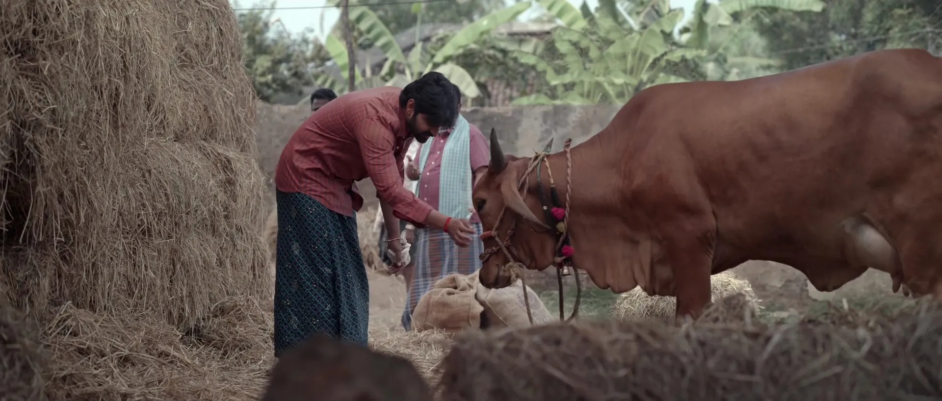 Arjuna Phalguna (2021) (Hindi – Telugu) Dual Audio UnCut HDRip 720p – 480p Screenshot
