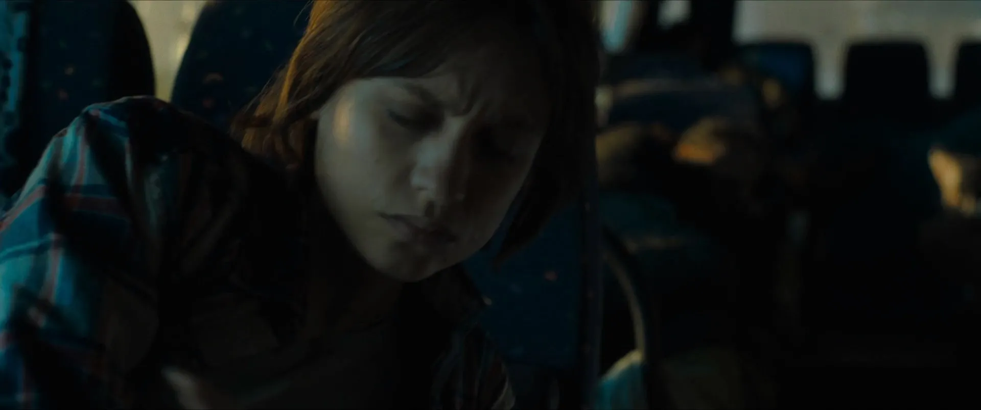 Bird Box 2018 Hindi (HQ DUBBED) Dual Audio 480p WebRip 380MB Screenshot