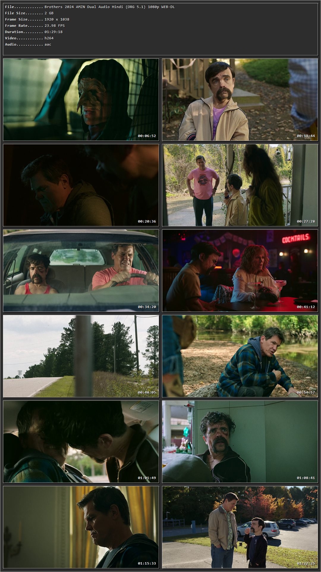Brothers 2024 Hindi Dual Audio HDRip 1080p – 720p – 480p Screenshot