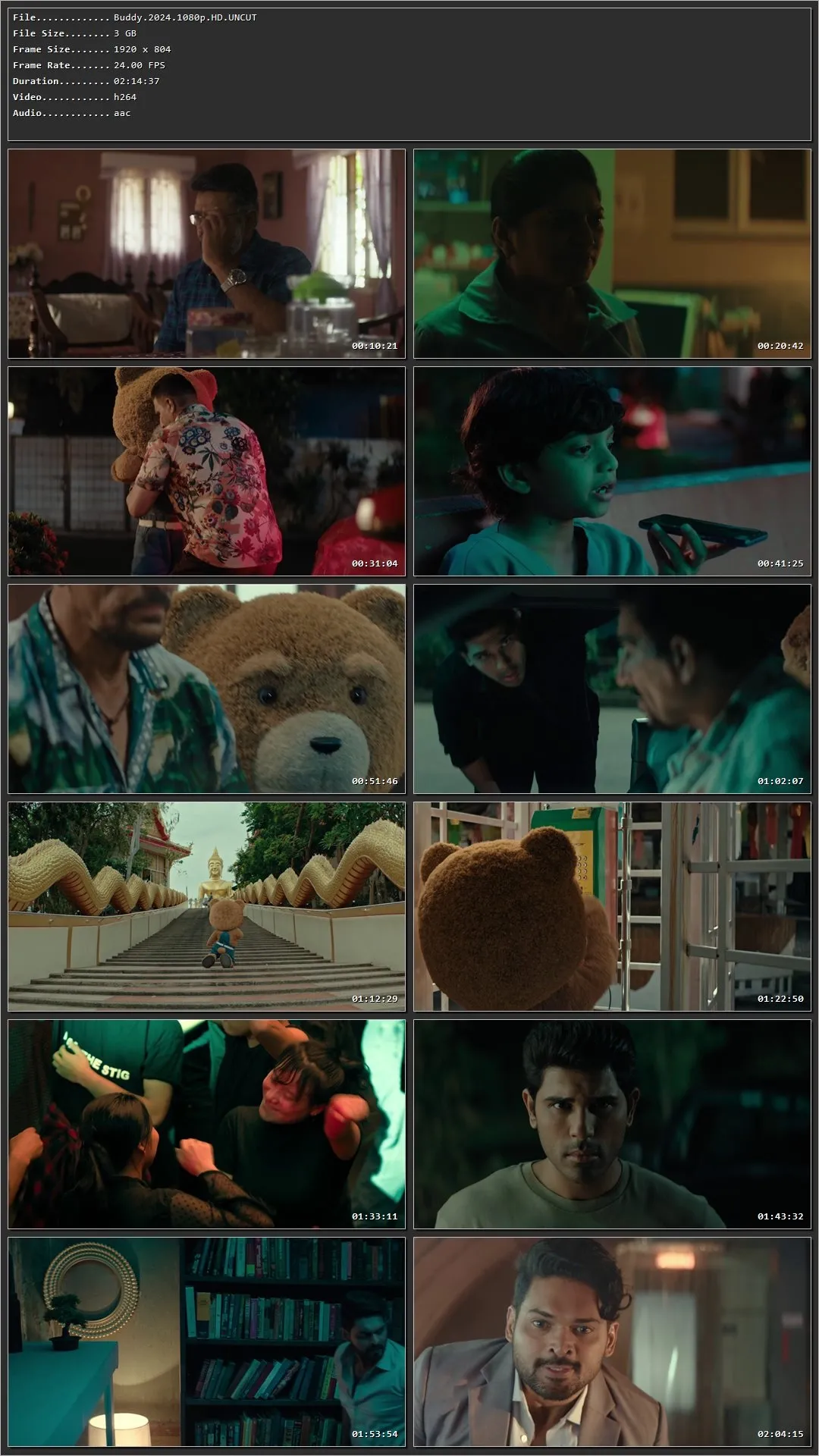 Buddy (2024) (Hindi – Telugu) HDRip 720p – 480p – 1080p Screenshot