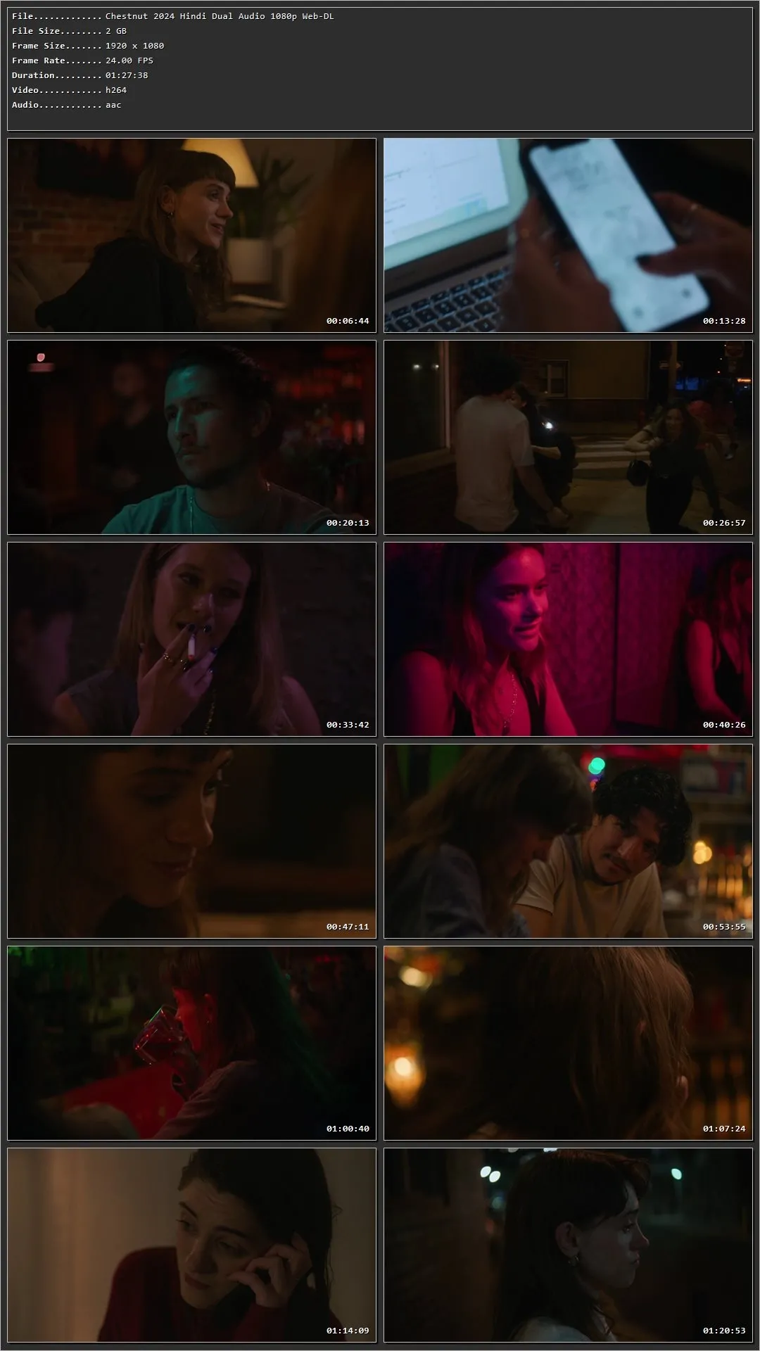 Chestnut 2024 Hindi Dual Audio HDRip 1080p – 720p – 480p Screenshot