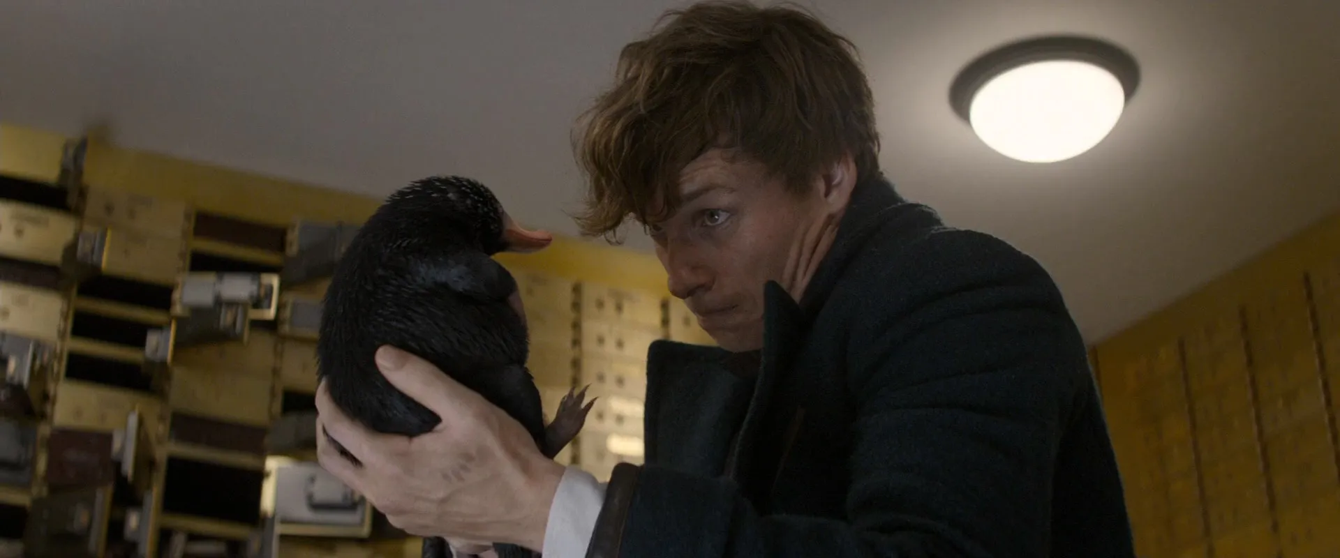 Fantastic Beasts and Where to Find Them 2016 Dual Audio (Hindi) BluRay 720p [1.1 GB] Screenshot