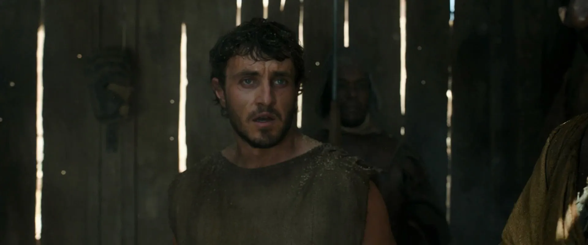 Gladiator II 2024 Hindi Dual Audio HDRip 720p – 480p – 1080p Screenshot