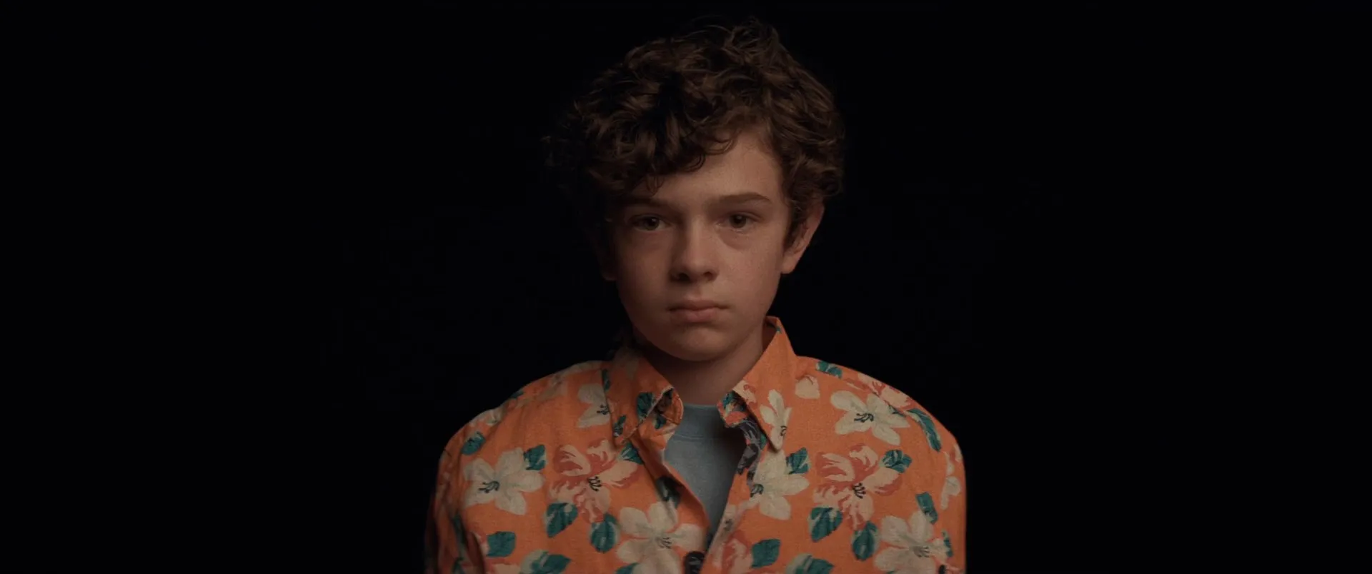 Honey Boy 2019 Hindi Dual Audio 720p BluRay [870MB] Screenshot