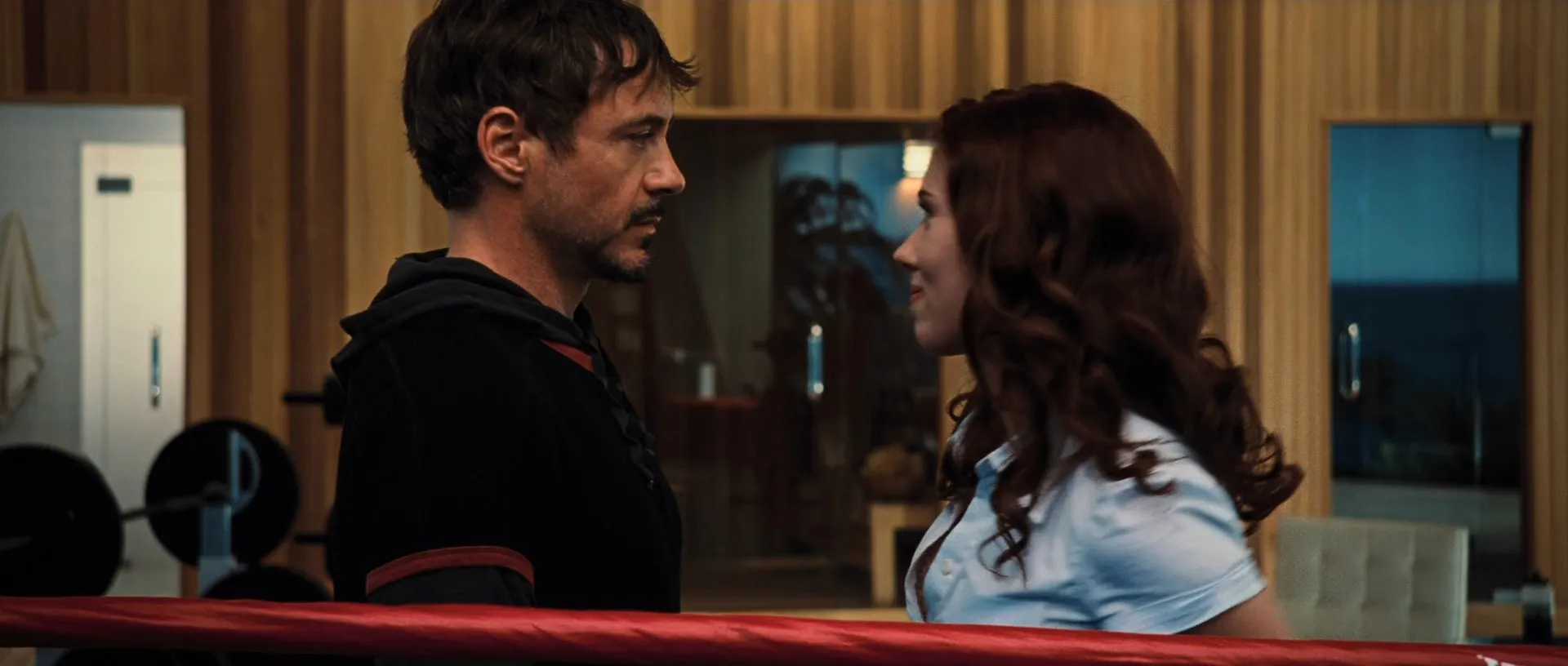Iron Man 2 (2010) Hindi Dual Audio 720p BluRay [880MB] Screenshot