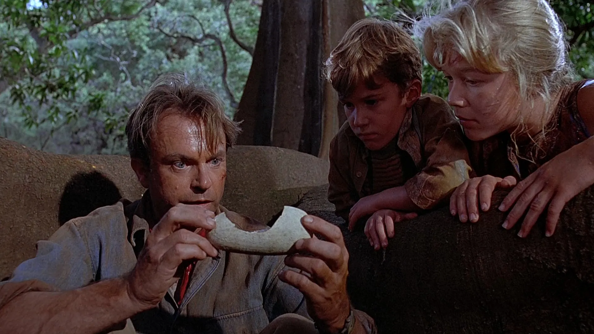 Jurassic Park (1993) Hindi Dubbed Bluray 720p [800MB] Download Screenshot