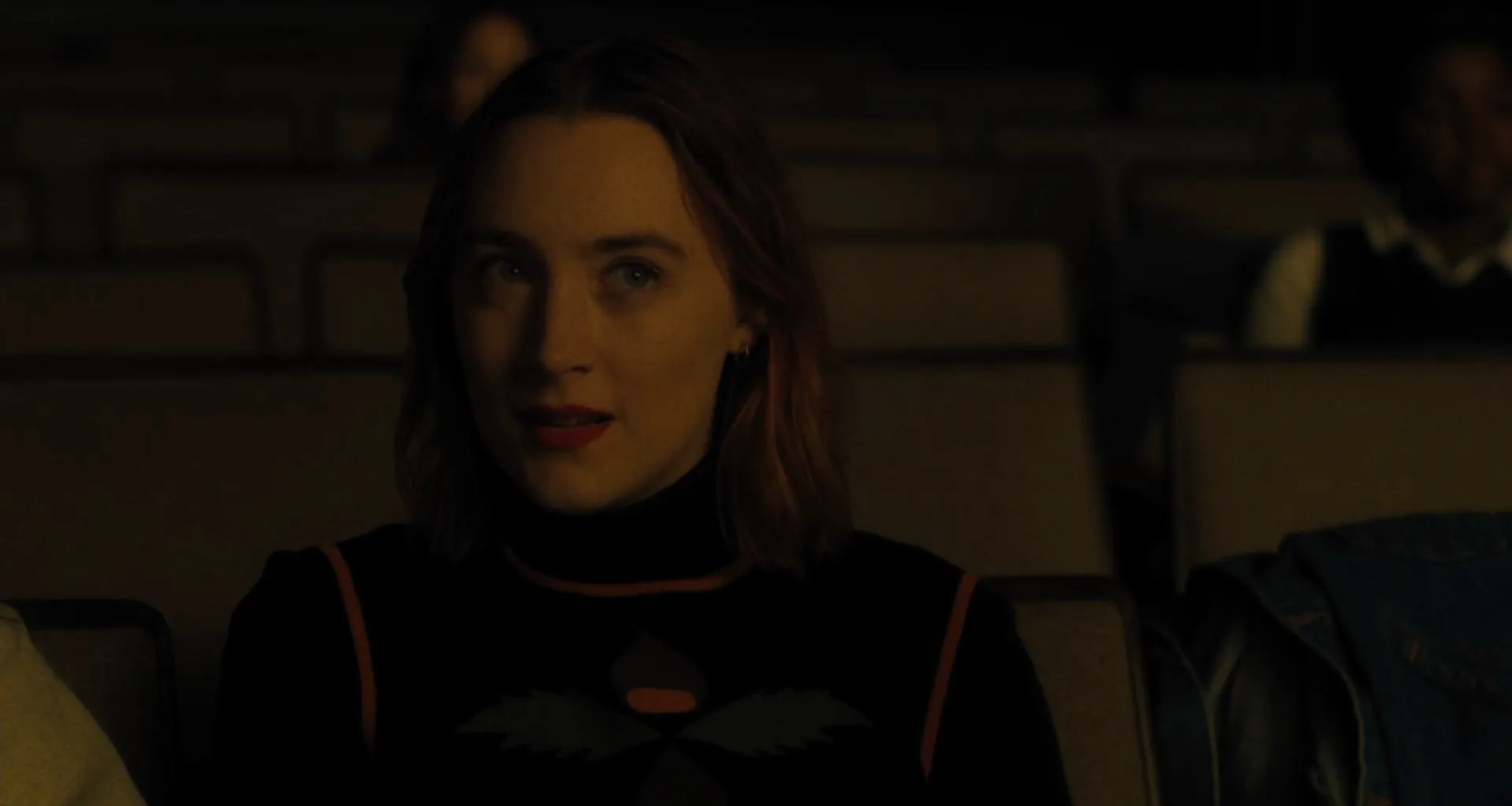 Lady Bird 2017 Hindi Dual Audio 720p BluRay [860MB] Screenshot