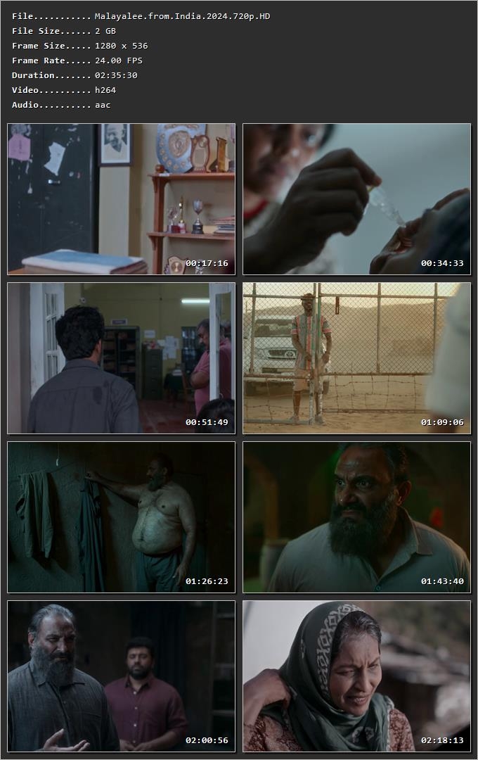 Malayalee from India (2024) [Hindi + Malayalam] HDRip 720p – 480p – 1080p Screenshot