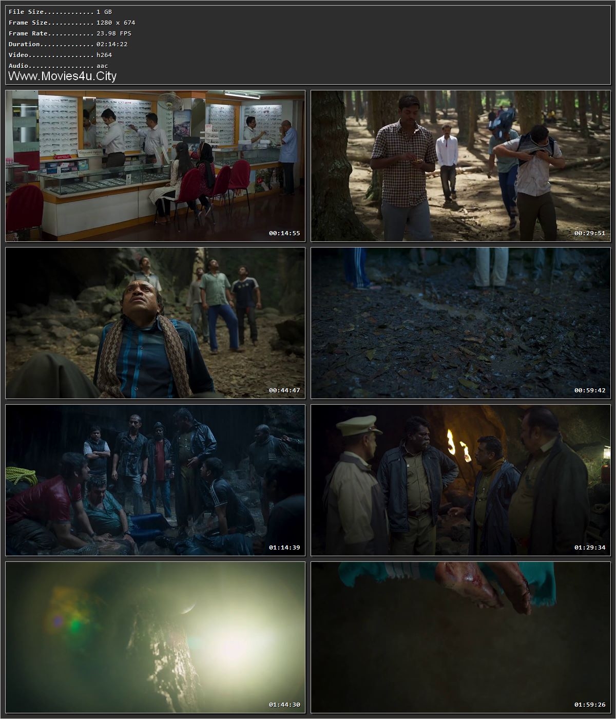 Manjummel Boys 2024 [Hindi (ORG) + Malayalam] HDRip 720p – 480p – 1080p Screenshot