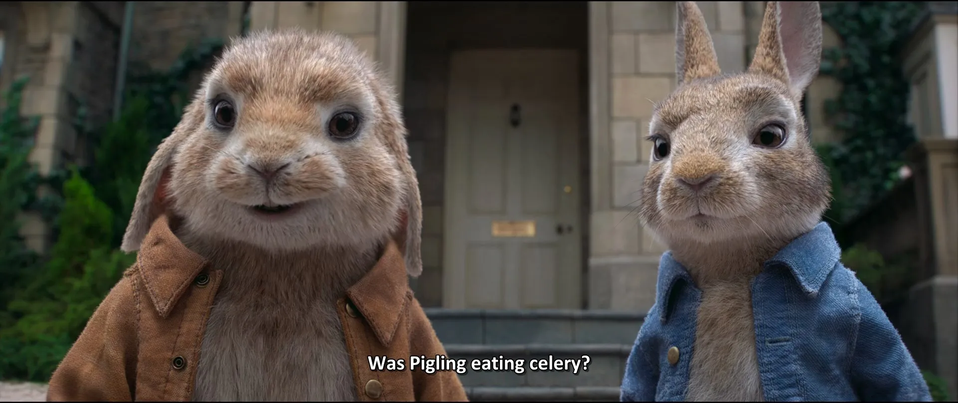 Peter Rabbit (2018) Hindi Dual Audio 720p BluRay [1.1GB] Screenshot