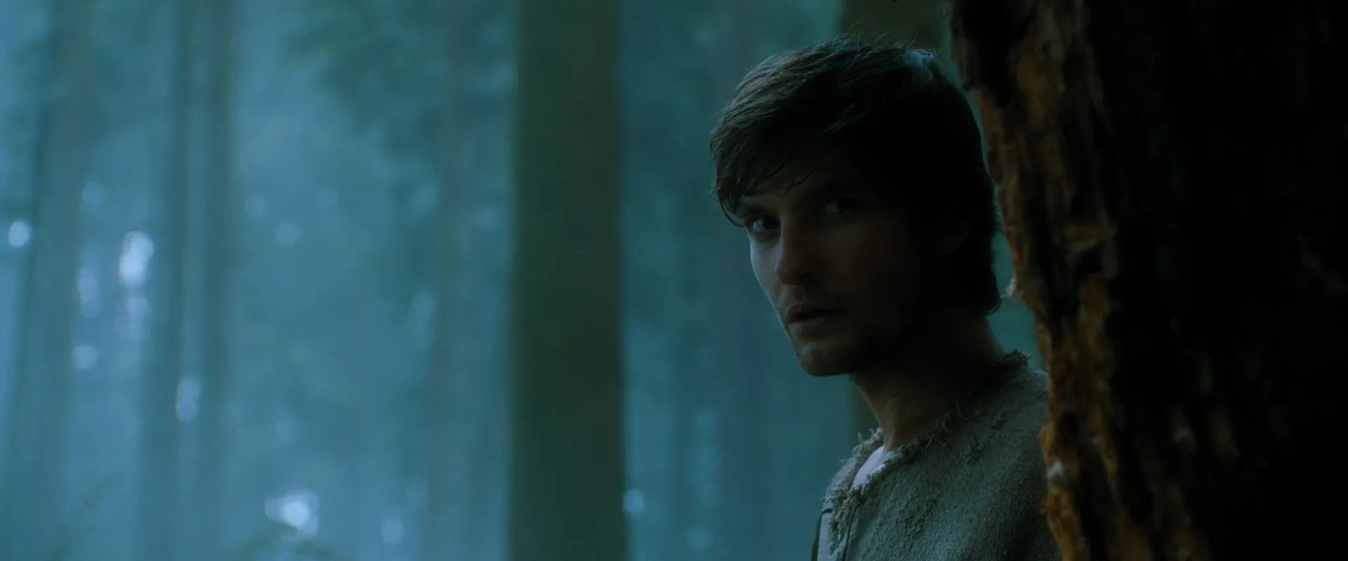 Seventh Son (2014) Hindi Dual Audio 480p BluRay 340MB Screenshot