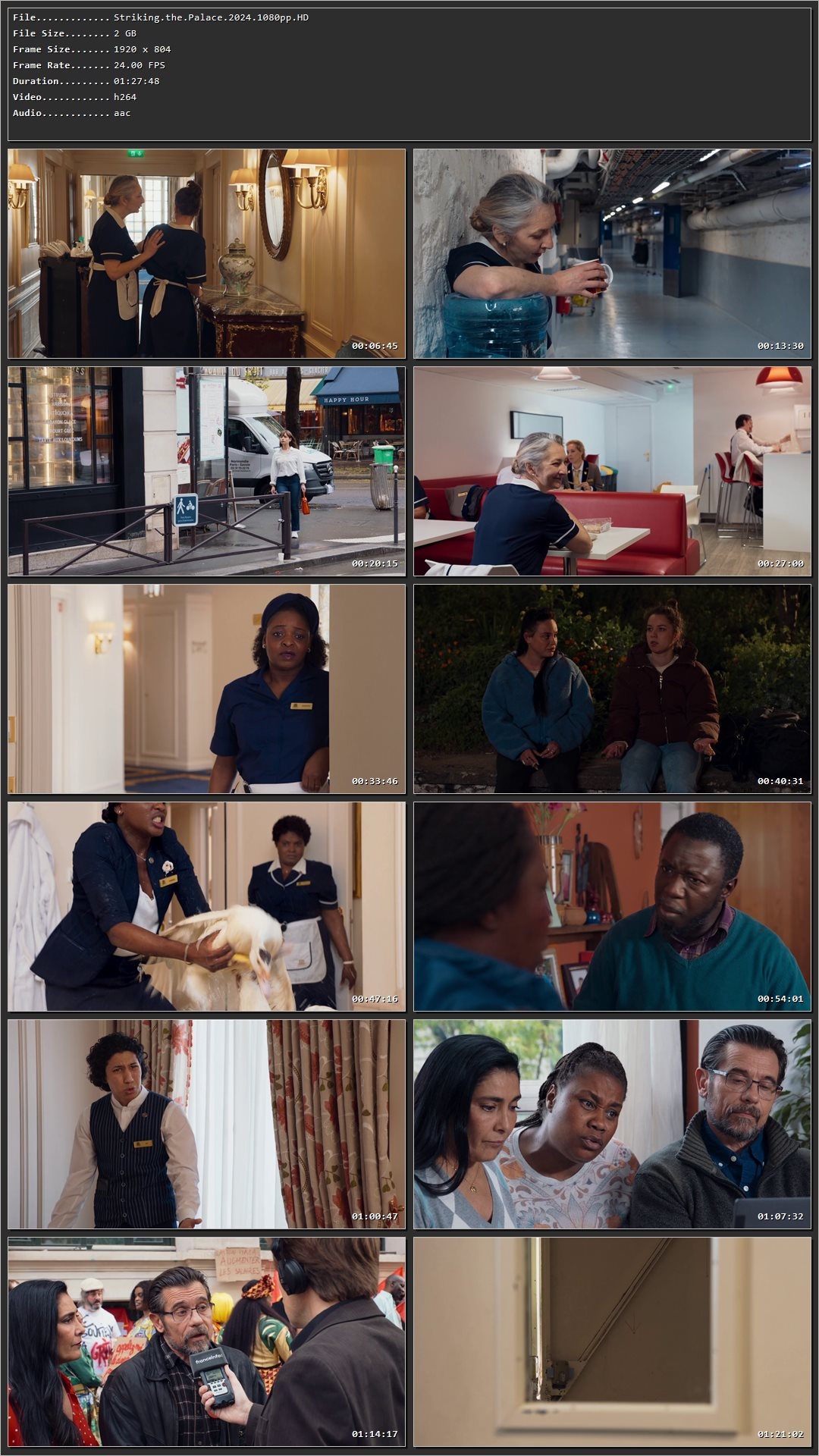 Striking the Palace (2024) Hindi Dual Audio HDRip 1080p - 720p - 480p Screenshot