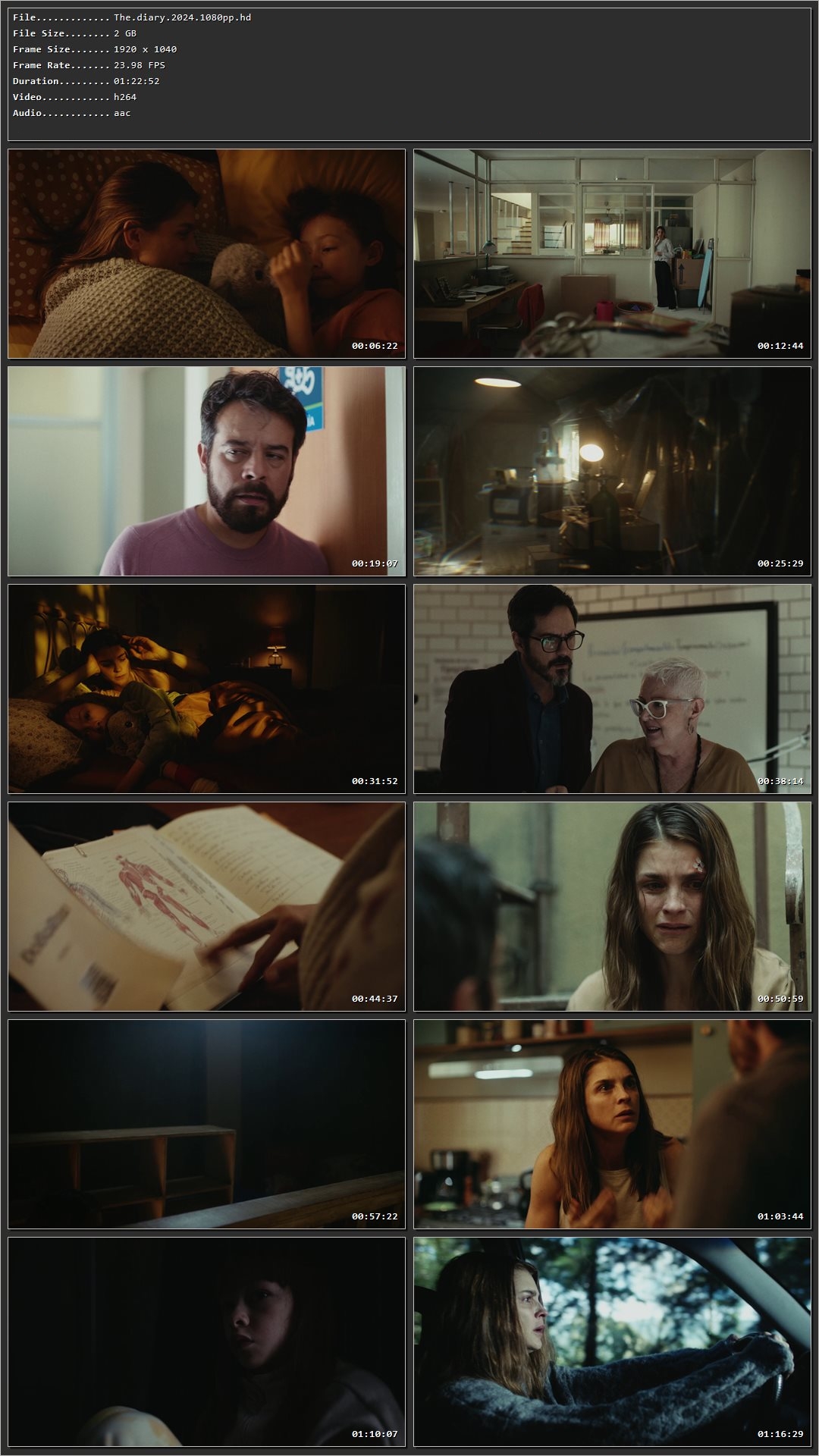 The Diary (2024) Hindi Dual Audio HDRip 1080p - 720p - 480p Screenshot