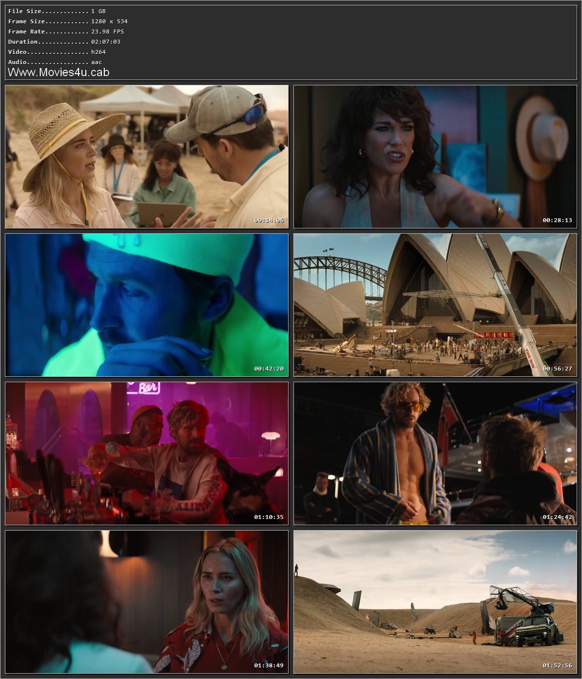 The Fall Guy 2024 Hindi (ORG) Dual Audio HDRip 1080p – 720p – 480p Screenshot