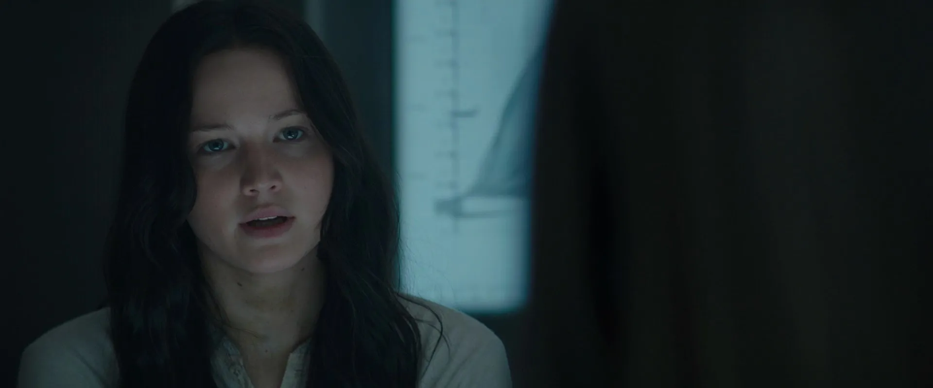 The Hunger Games: Mockingjay - Part 2 (2015) Hindi Dual Audio 720p BluRay [1.2GB] Screenshot