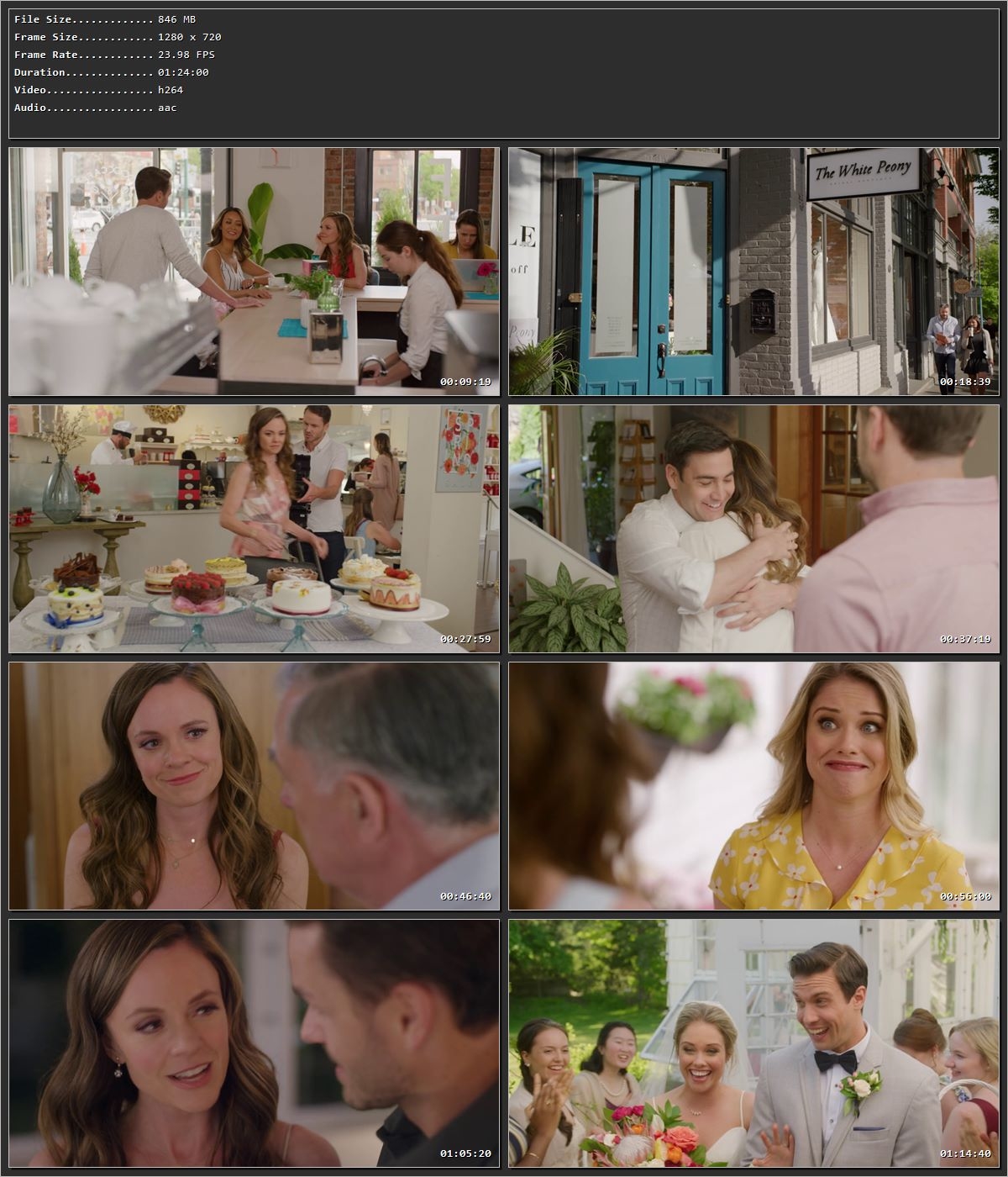 The Last Bridesmaid (2019) Hindi Dual Audio HDRip 720p – 480p Screenshot
