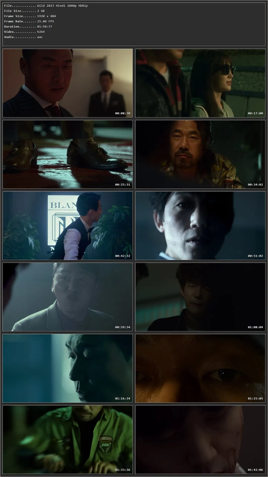The Wild 2024 Hindi HDRip 720p – 480p – 1080p Screenshot