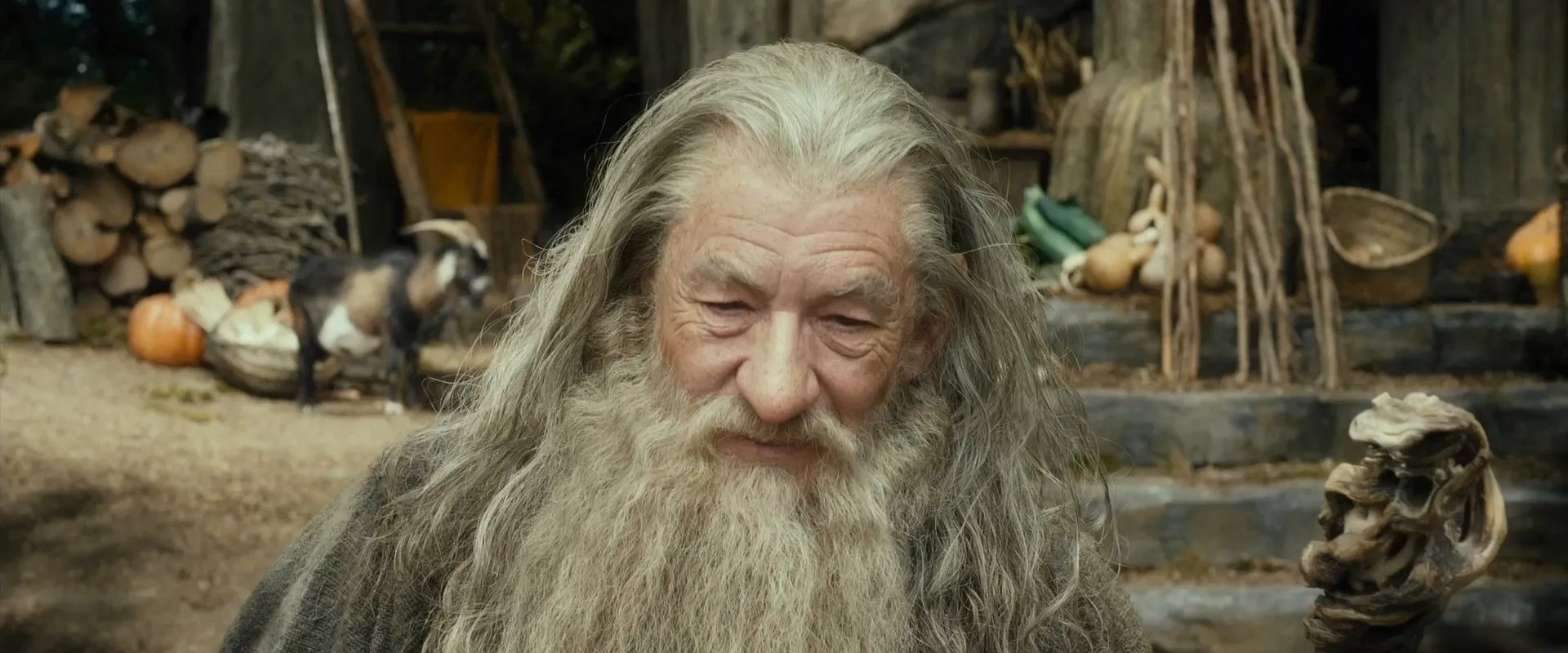The Hobbit The Desolation of Smaug (2013) Hindi Dual Audio Movie Hevc [200MB] BRRip Screenshot