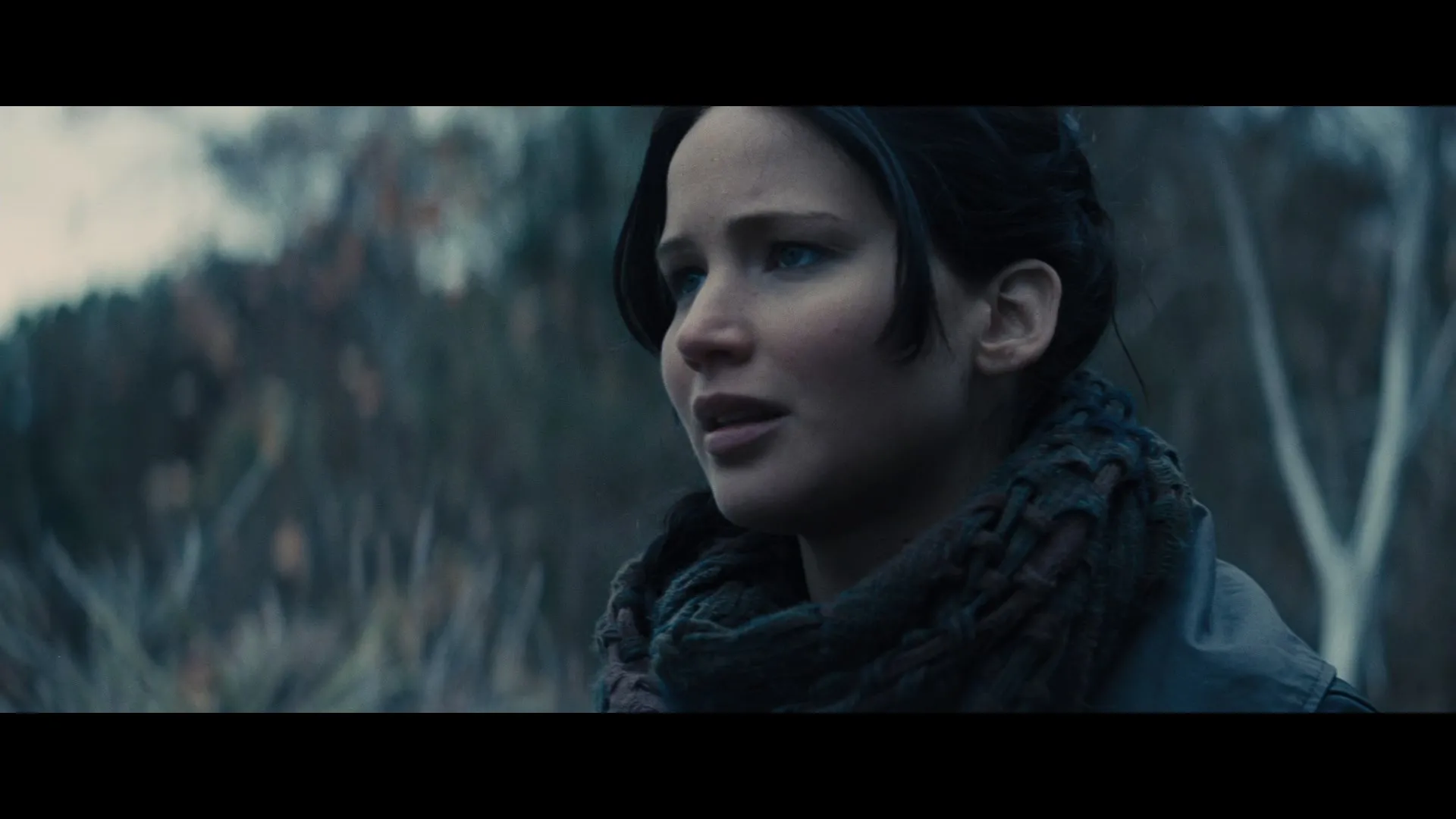 The Hunger Games: Mockingjay - Part 2 (2015) Hindi Dual Audio 480p BluRay 430MB Screenshot