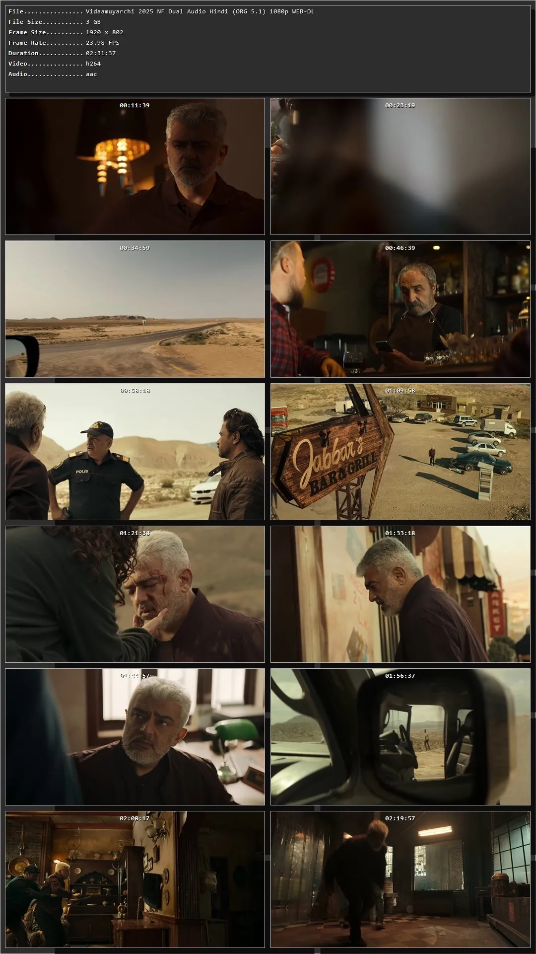 VidaaMuyarchi (2025) Hindi HDRip 720p – 480p – 1080p Screenshot