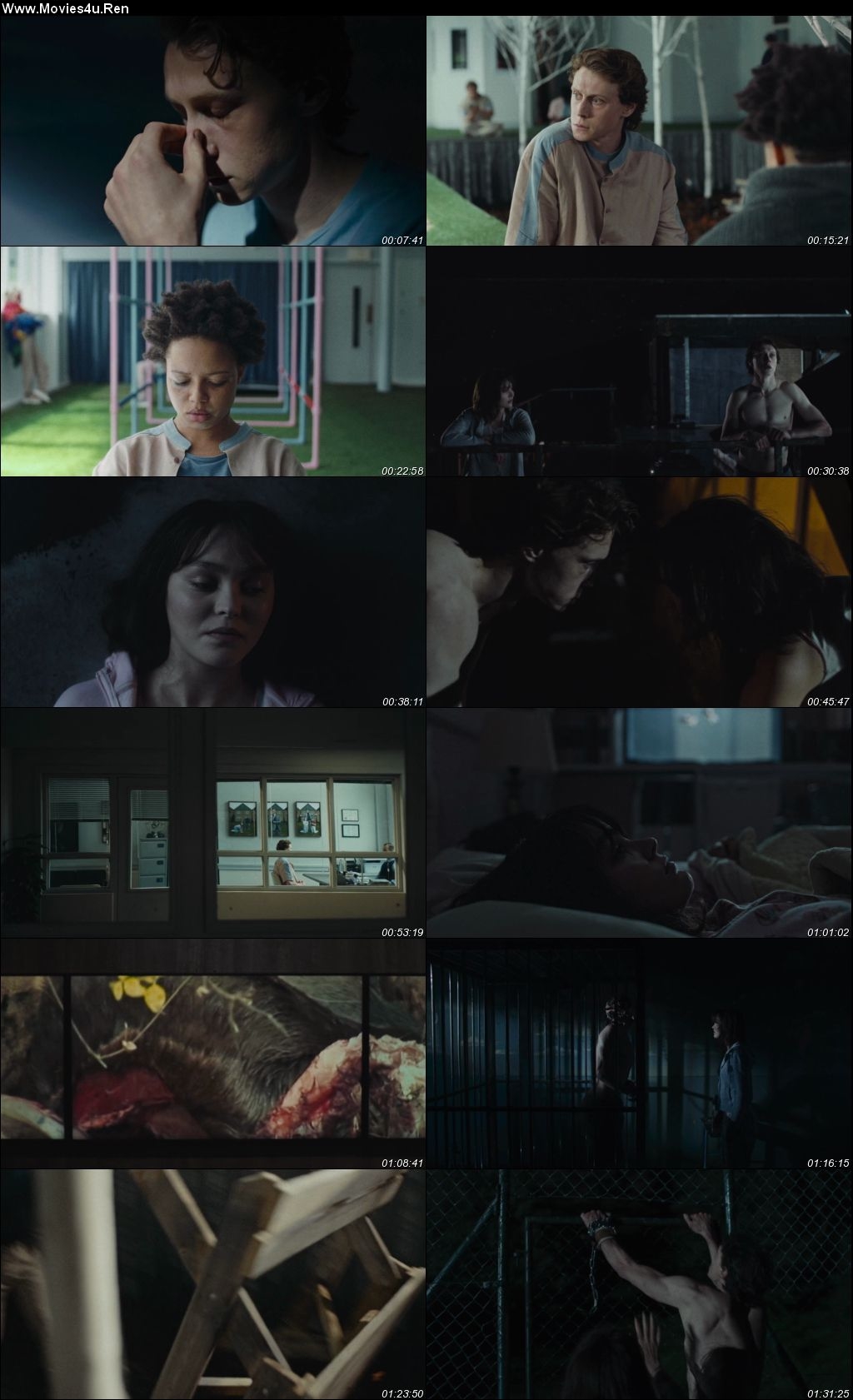 Wolf (2021) Hindi Dual Audio HDRip 720p – 480p Screenshot